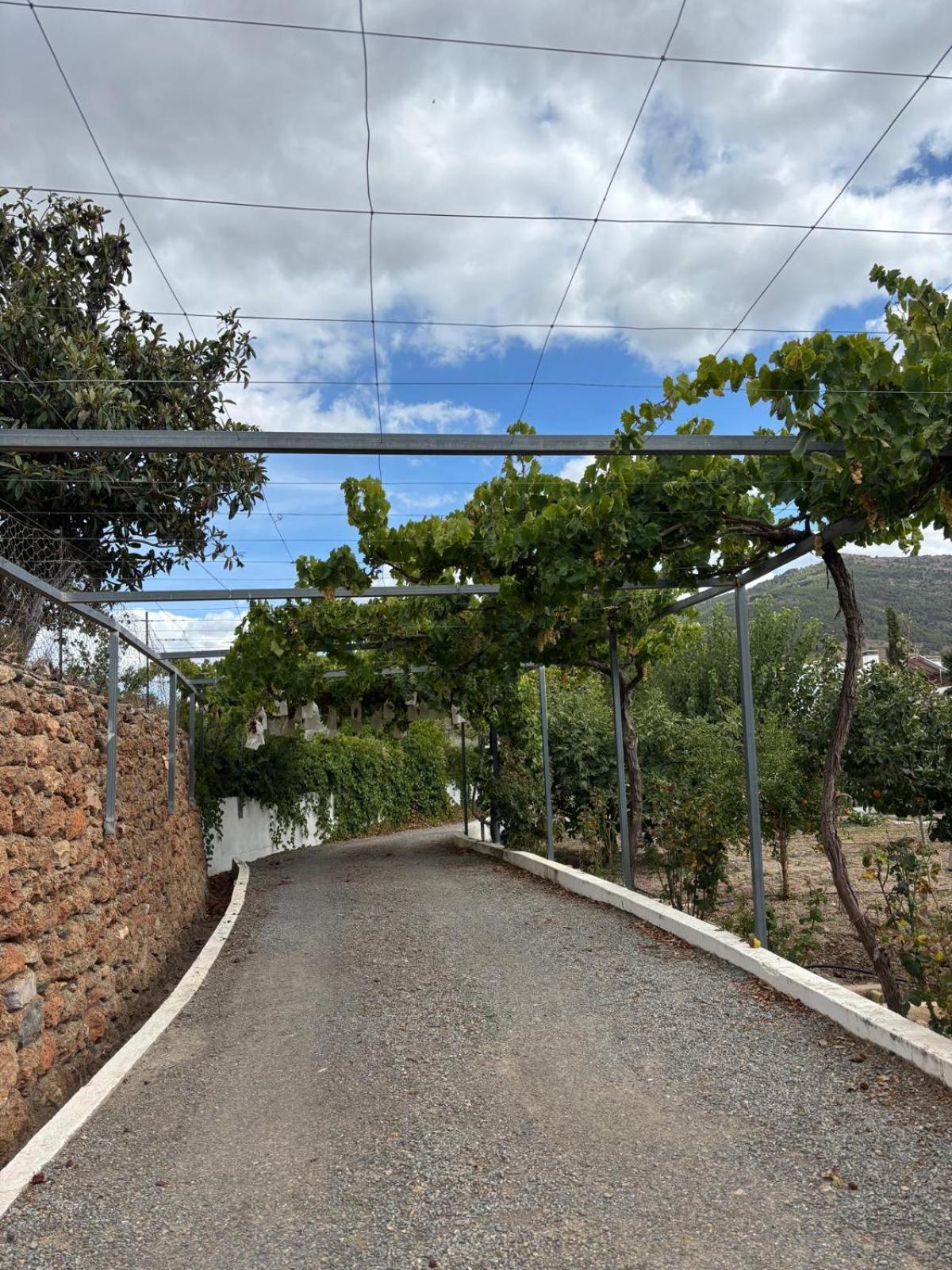El Domingo En El Valle Fondón المظهر الخارجي الصورة